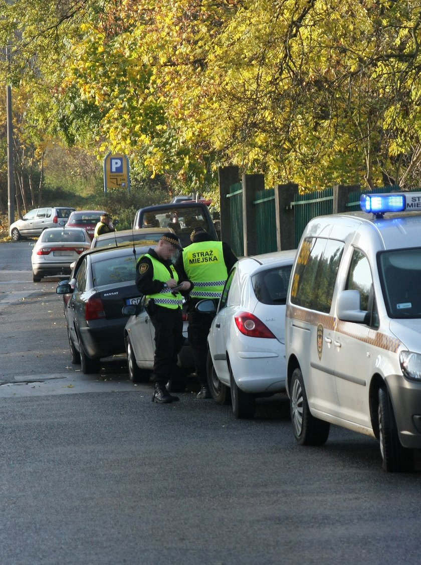 strażnicy miejscy z Gdańska wypisują mandat