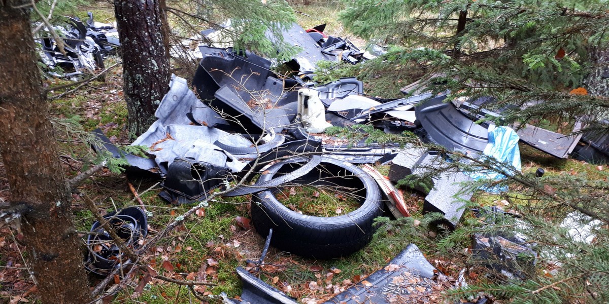 Jak podkreślił w środę w Sejmie wiceminister klimatu Jacek Ozdoba podczas pierwszego czytania projektu ustawy o zmianie niektórych ustaw w celu przeciwdziałania przestępczości środowiskowej, to największa nowelizacja kodeksu karnego od lat 90.