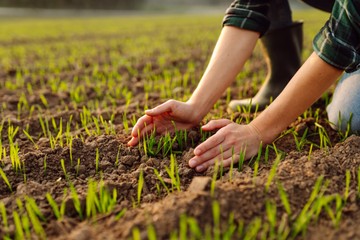 Rejtett veszély a földben: így jutnak gyógyszermaradványok a talajba
