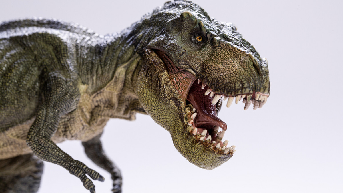 Na Ziemi żyło łącznie około 2,5 mld tyranozaurów