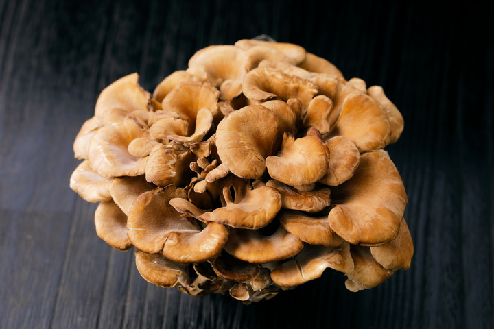 Grzyby maitake / fot. Nishihama, Shutterstock