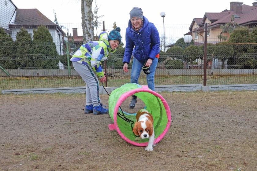 Suczka Abi uczy się być dogoterapeutką