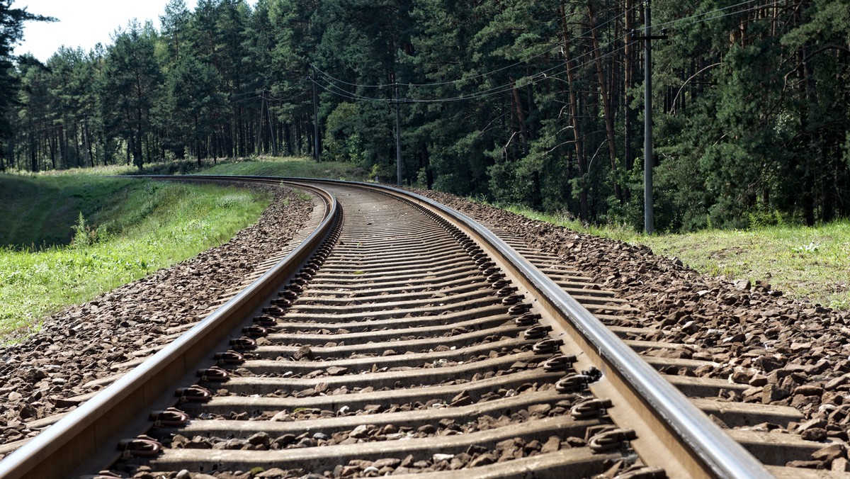 Opóźnione są 84 pociągi pasażerskie. Występują 3 przerwy w ruchu (deformacja torów) na liniach Lasek-Sieniawa (Podkarpackie), Bieniowiec-Pierściec oraz Zebrzydowice-Kaczyce (Śląskie) spowodowane wysoką temperaturą - poinformował na Twitterze Grzegorz Świszcz, zastępca dyrektora Rządowego Centrum Bezpieczeństwa.