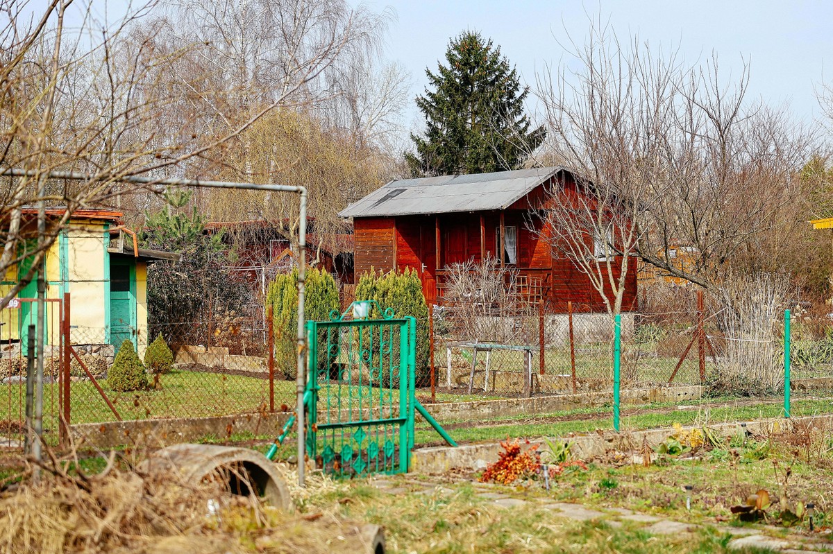 Działki ROD mogą przestać istnieć. Związkowcy apelują do rządu. Przygotowali rozwiązania