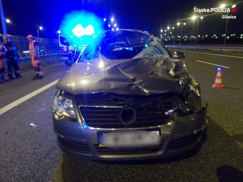 Policjant zginął przez jelenia