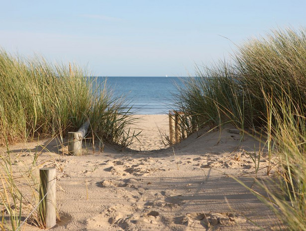 Sinice kwitną w Bałtyku. Uwaga na plaże w tym regionie