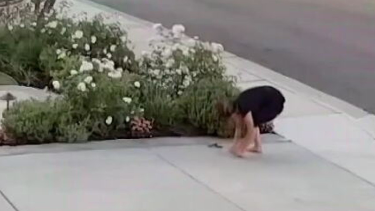Zmija ujela ženu dok je sređivala dvorište 