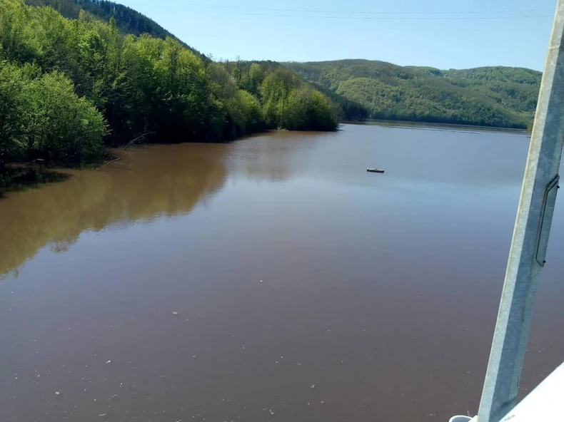 Alge su prisutne već pet godina, ali su se do sada uvek povlačile s proleća