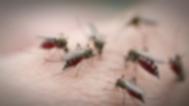 W Azji pojawił się lekooporny szczep pasożyta malarii. Czeka nas pandemia?