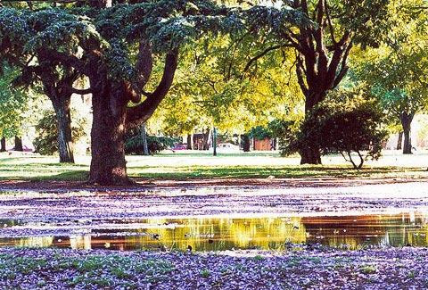 Galeria Argentyna - Listopadowe Buenos Aires, obrazek 84