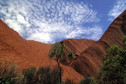 Galeria Australia - Uluru i Kata Tjuta, obrazek 4