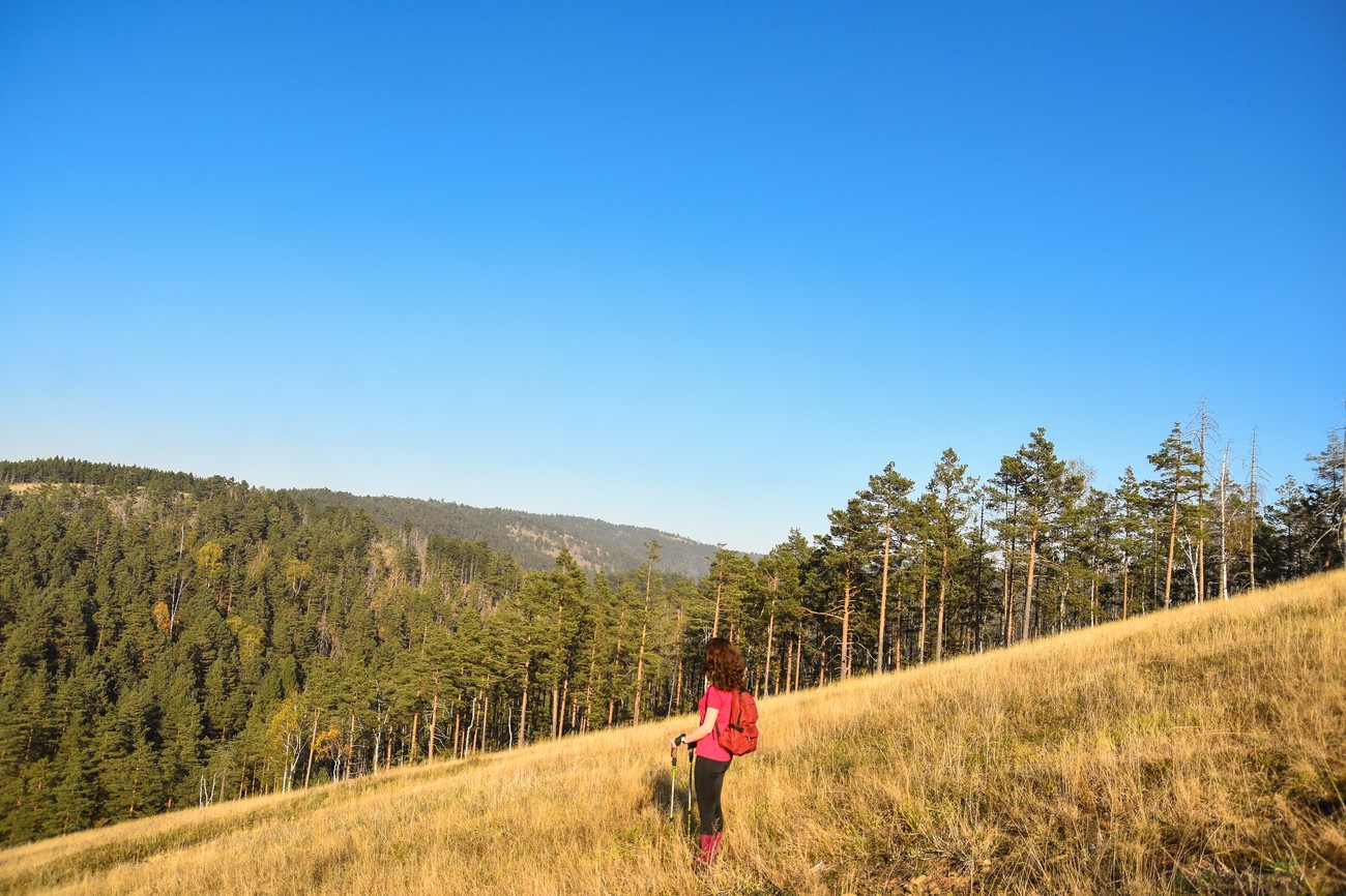 Ni Zlatibor ni Kopaonik, Srbi za praznike odabrali ovu planinu! &#34;Traži se i krevet više, 4 objekta i za 50 evra po danu&#34;