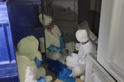 Nielegalni pracownicy znalezieni w pojemnikach na mięso