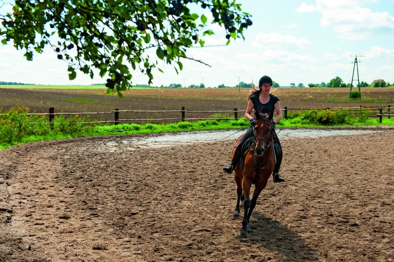 Galop na łące, kłus leśnymi przecinkami