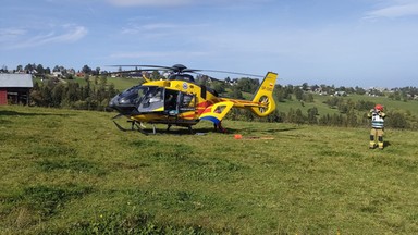 Groźne zdarzenie na Podhalu. Koń poturbował dziecko