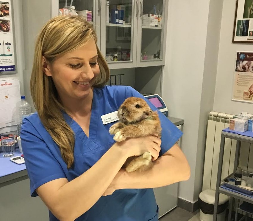 dr Jelena Ćosović-Šekularac