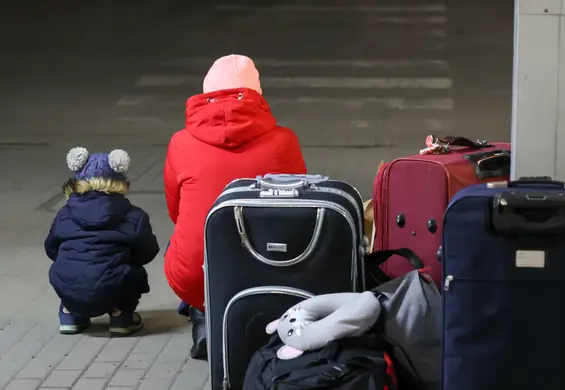 Tak pomagają Polacy. Powstał raport. Jeden cel budzi szczególny opór