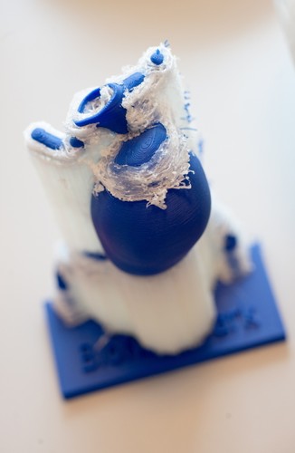 POLSCY NAUKOWCY DRUKUJĄ TRÓJWYMIAROWE MODELE KOŚCI