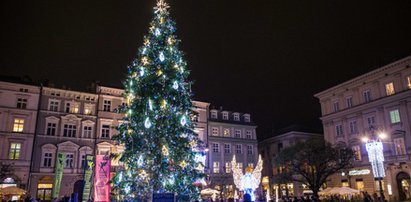 Słowacy podarowali krakowianom choinkę