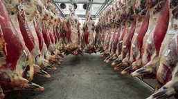 mięso z hormonem wzrostu z brazylii. minister rolnictwa zapewnia, że n