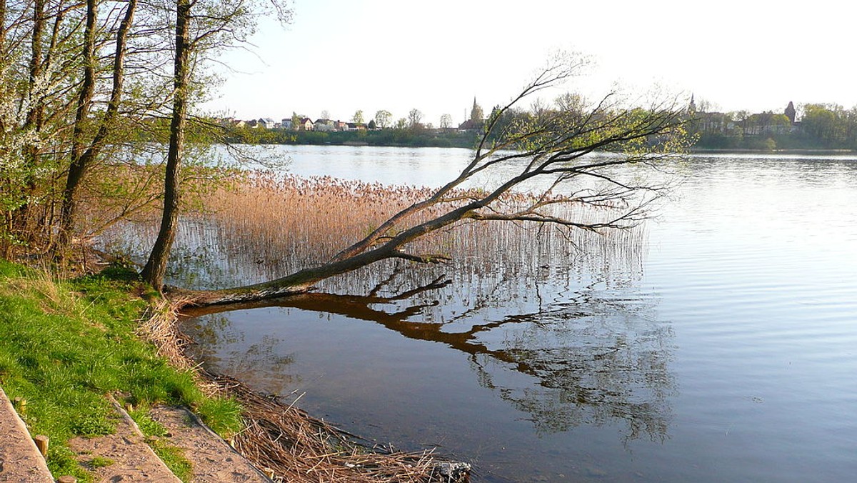 Wcześniej dziewczynka bawiła się ze znajomymi na pobliskiej plaży. Pomimo reanimacji nie udało się jej uratować - podała policja. Trwa ustalanie okoliczności tragicznego wypadku.