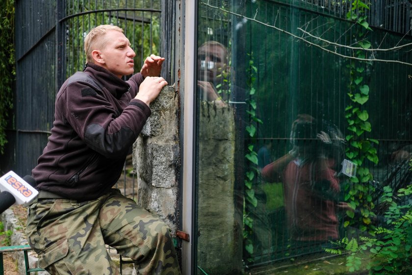 Tłumy w zoo