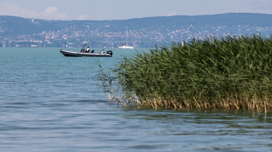 Napi egy centit apad a Balaton / Fotó: Zolnai Péter