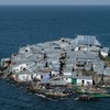 Migingo