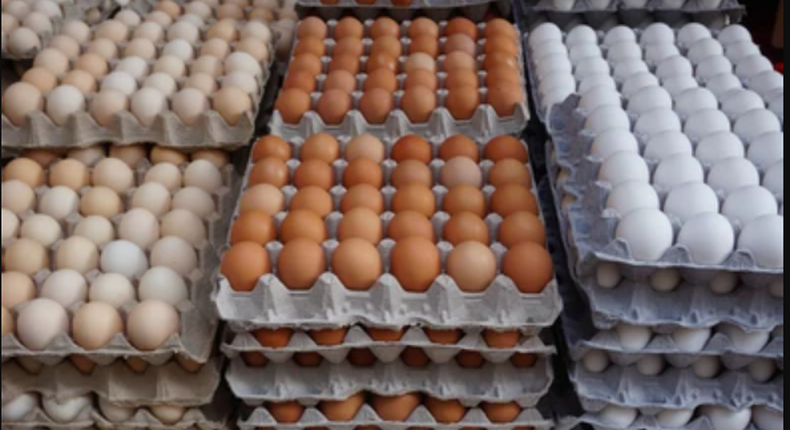 Plateau govt buys 5,000 egg crates to help farmers.