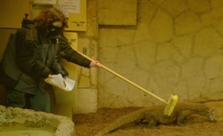 Zoo: Nazywają szczury i karaluchy imionami byłych partnerów, a potem karmią nimi zwierzęta