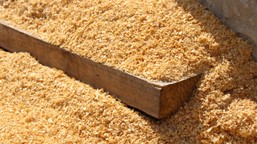 trociny, które nie płoną? naukowcy opracowali przełomowy materiał budo