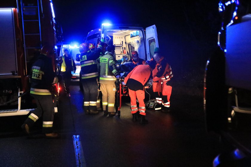 Świnoujście: Jechali do pracy, przed auto wyskoczył dzik. 1 osoba nie żyje