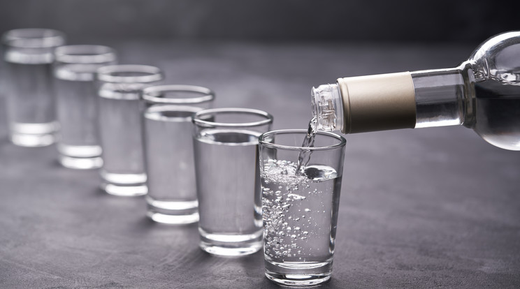 A vodka szívre gyakorolt hatását vizsgálták kutatók / Fotó: Shutterstock