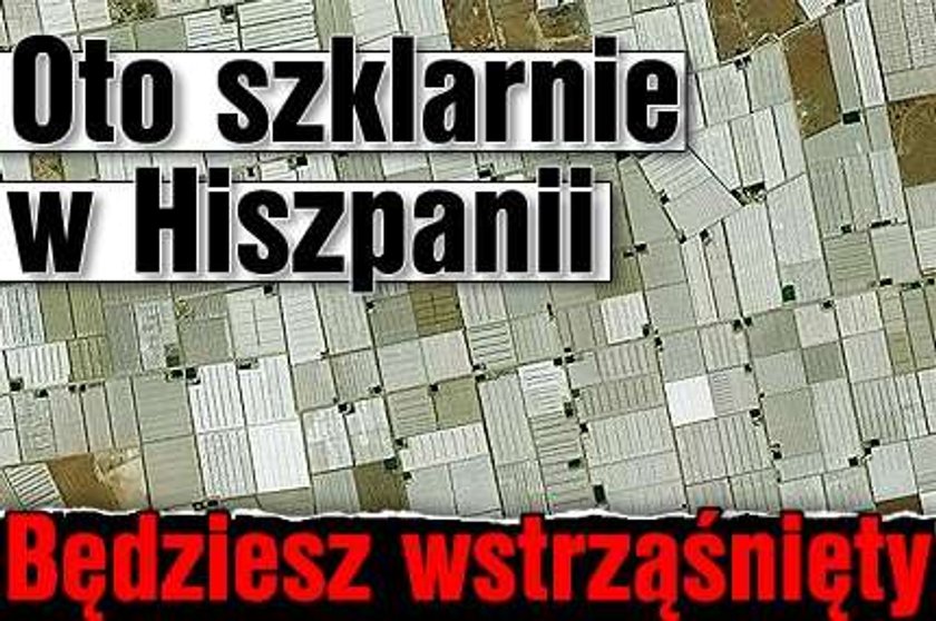 Oto szklarnie w Hiszpanii. Będziesz wstrząśnięty