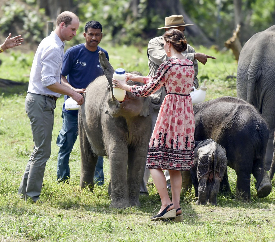 Książę William i księżna Kate z wizytą w Indiach