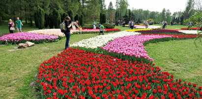 Ogród Botaniczny w Łodzi otwarty po nawałnicy