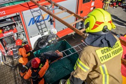 Legitymacje OSP powstaną, ale w mObywatelu