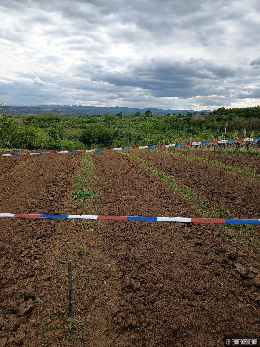 Pronađena eksplozivna naprava u vinogradu kod Jagodine