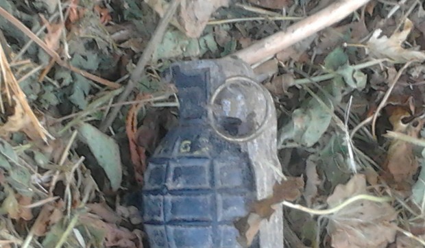 662531_kraljevo-03--pronaena-kaikara--foto-n.-boovi