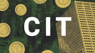 Wydatki niezwiązane z działalnością gospodarczą to bolączka estońskiego CIT