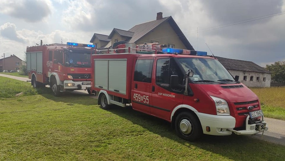 Grzybiarz uratował psa, który topił się w studni