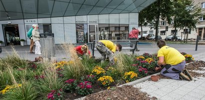 Gwiazdy kina opanują Gdynię! Tak miasto szykuje się na festiwal