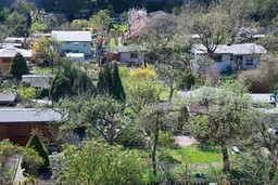 Gronkiewicz-Waltz: Decyzja o zwrocie ogródków działkowych podjęta z upoważnienia L. Kaczyńskiego