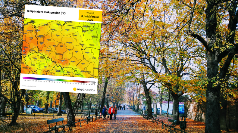 Nadchodzi przewrót w pogodzie. Do Polski pędzi strumień dużego ciepła (screen: meteologix.com)