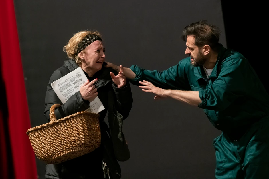 18 mačaka i limar Herman Brum