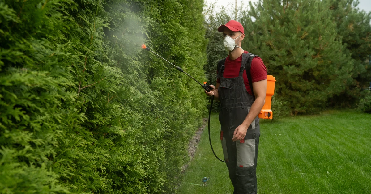 Oprysk na kleszcze i komary do ogrodu - jaki najlepszy? Kiedy i jak pryskać?