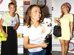 Piękne i szlachetne: gwiazdy na inauguracji akcji "Stop pustym miskom"