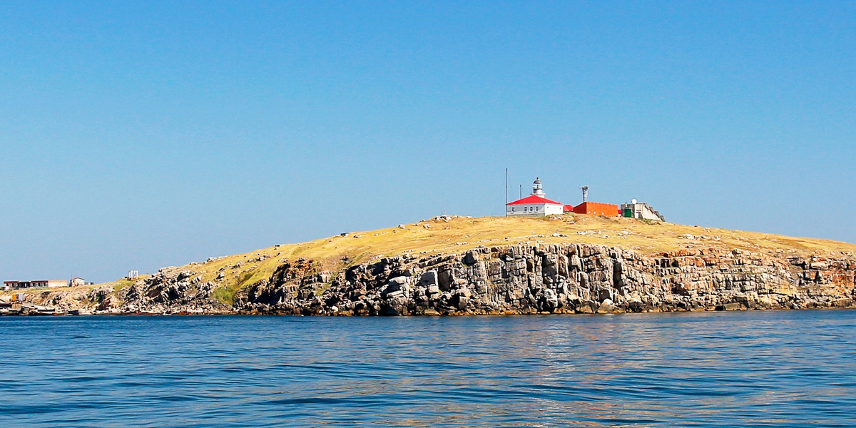 Wyspa Węży została odbita przez ukraińskie wojsko. Nie ma tam już Rosjan.