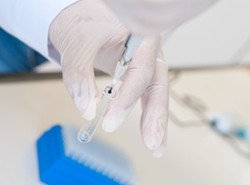 Zniszczą zabójczego wirusa? Na razie przechowują go w laboratorium