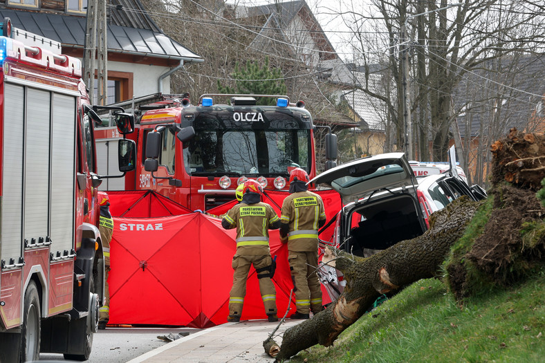 Samochód, którym jechała 23-latka został przygnieciony przez powalone drzewo